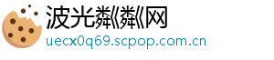 波光粼粼网	